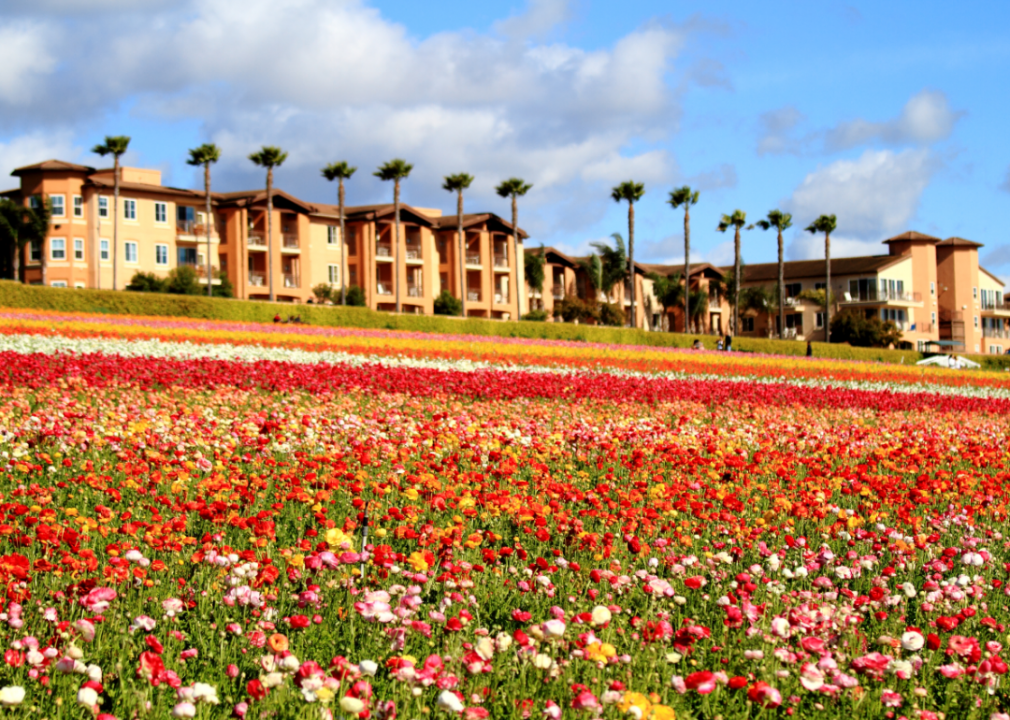 #18. San Diego-Carlsbad, California